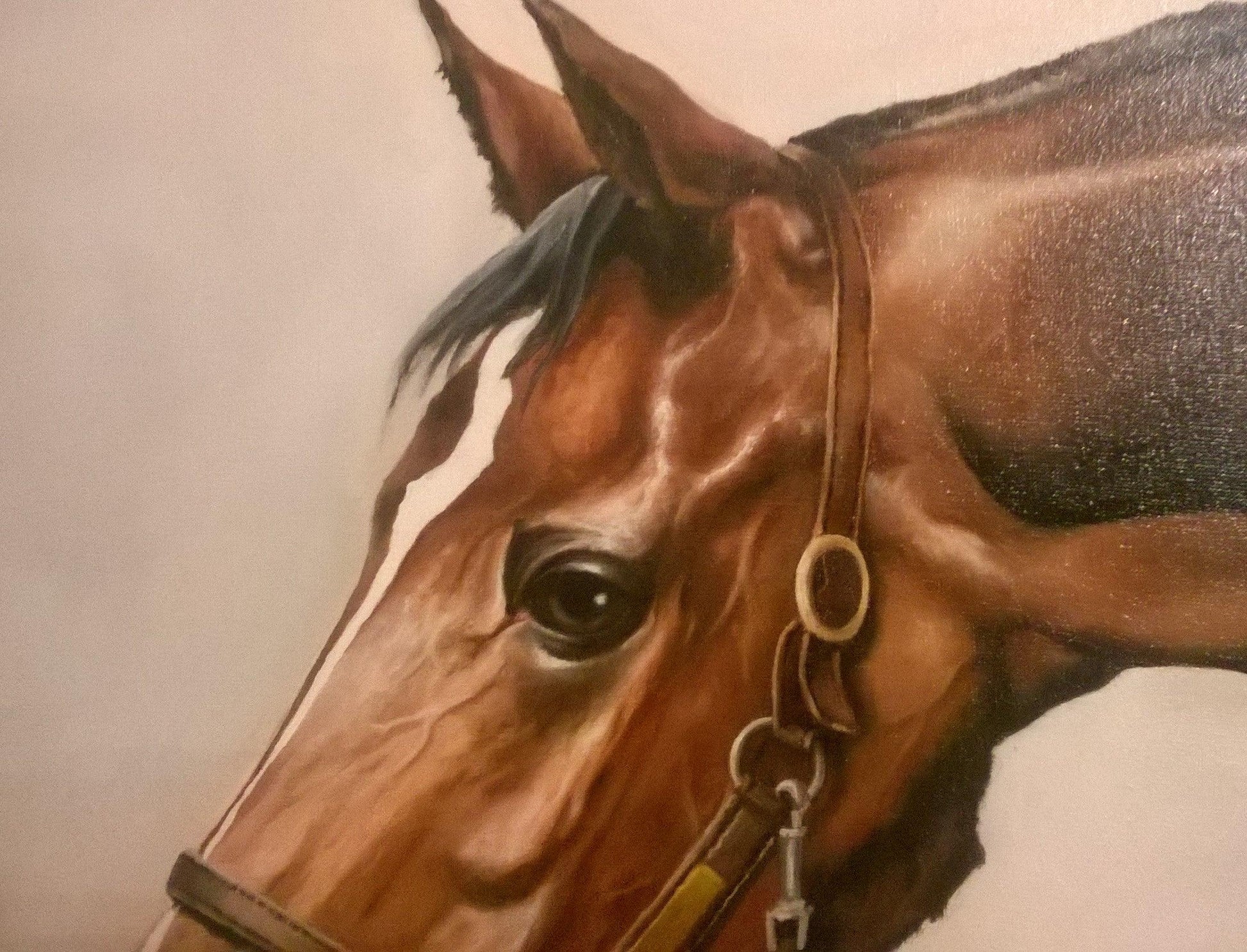 HORSE PORTRAIT Foshe ART