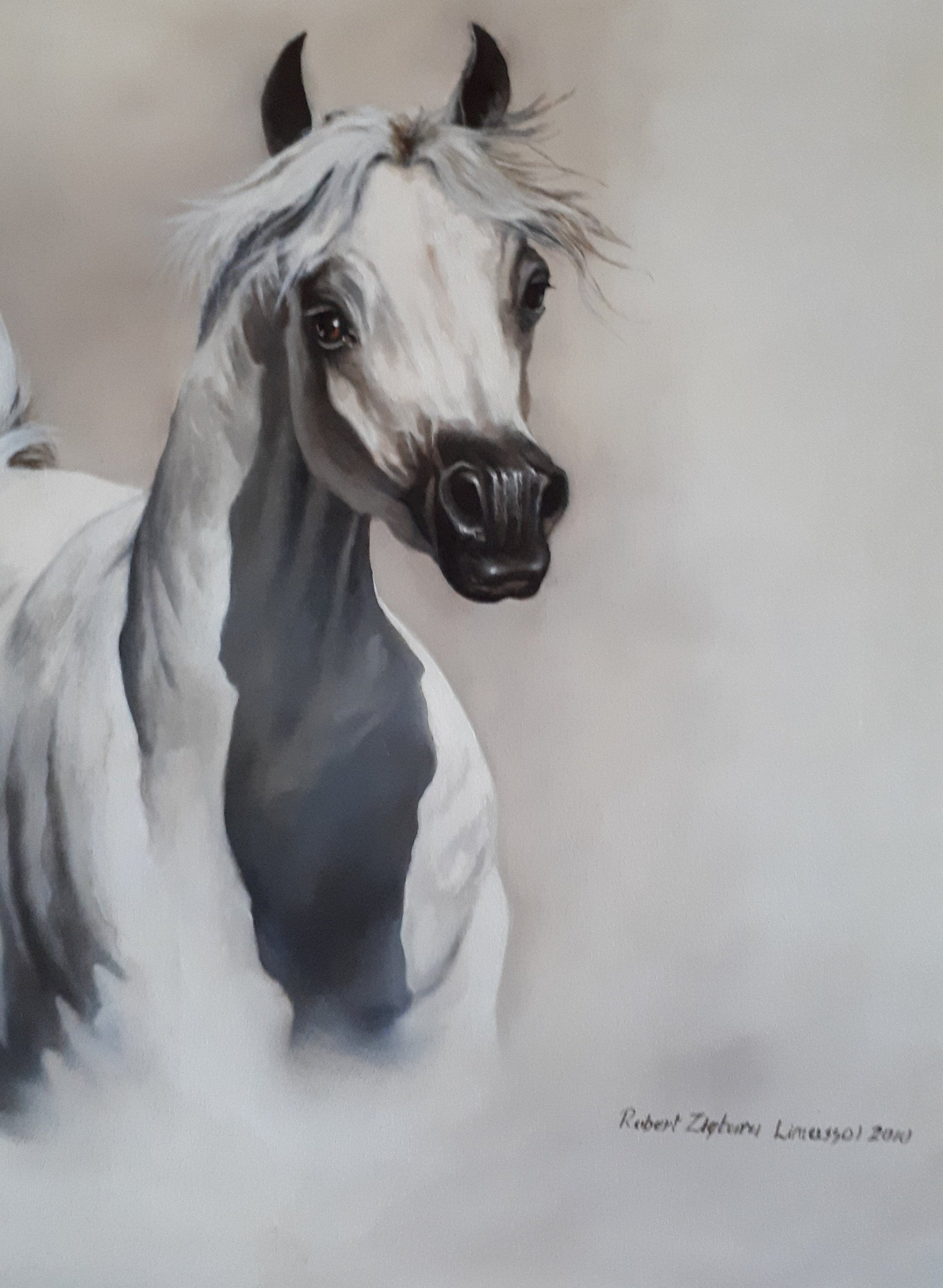 BEAUTY Fine Art Print from original oil painting |  Animal Print | White Horse Poster |Fine Art Print | Poster Print | Wall Art | Wall Print FOSHE ART