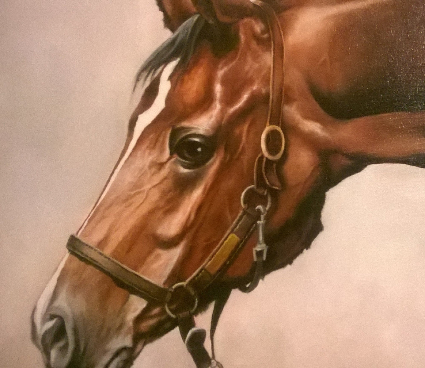 HORSE PORTRAIT | fine art print from original oil painting | horse photo | equestrian print | equestrian decor | High Definition Print
