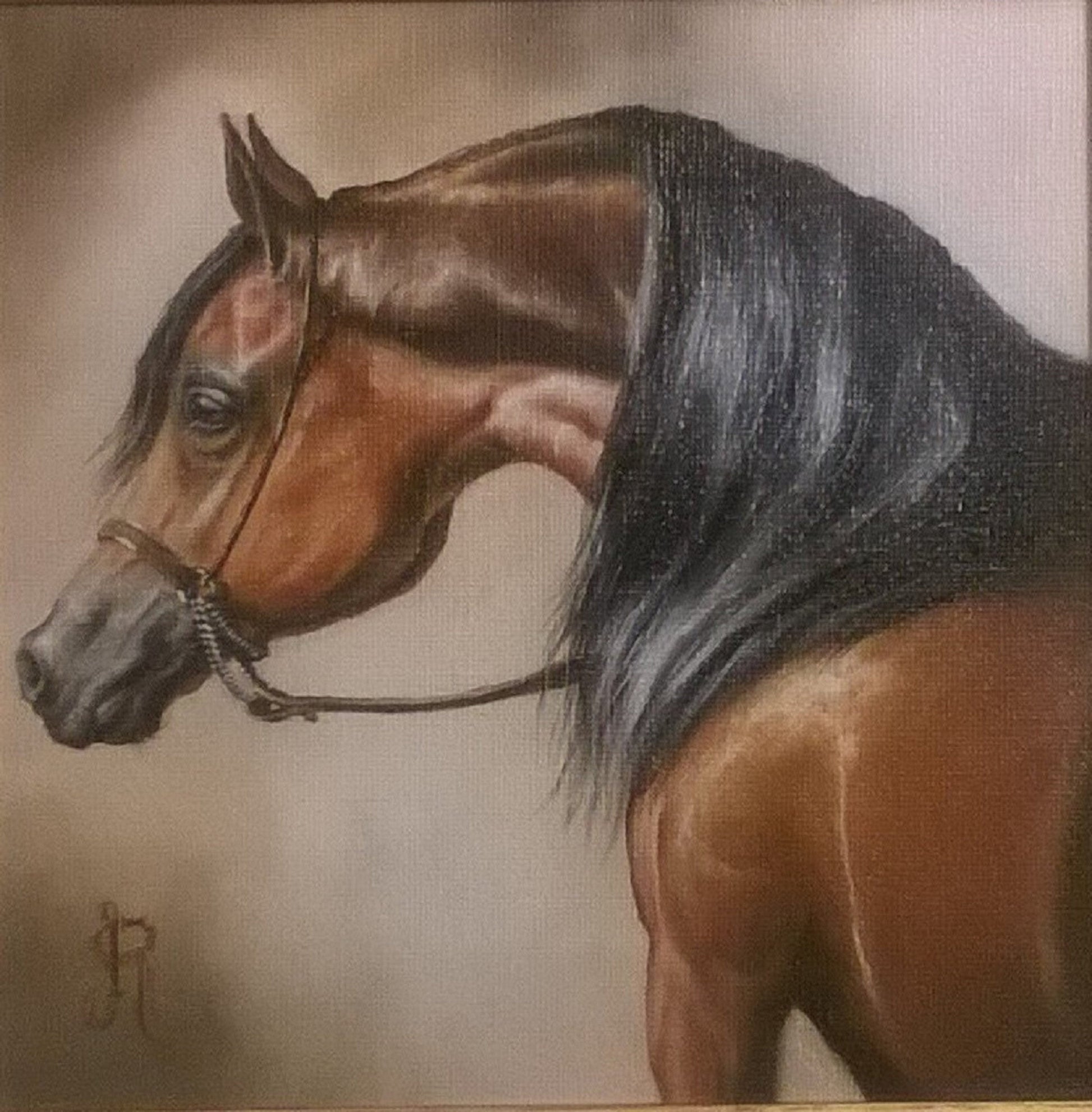 MYSTERIOUS BEAUTY | fine art print from original oil painting | horse photo | equestrian print | equestrian decor | High Definition Print FOSHE ART