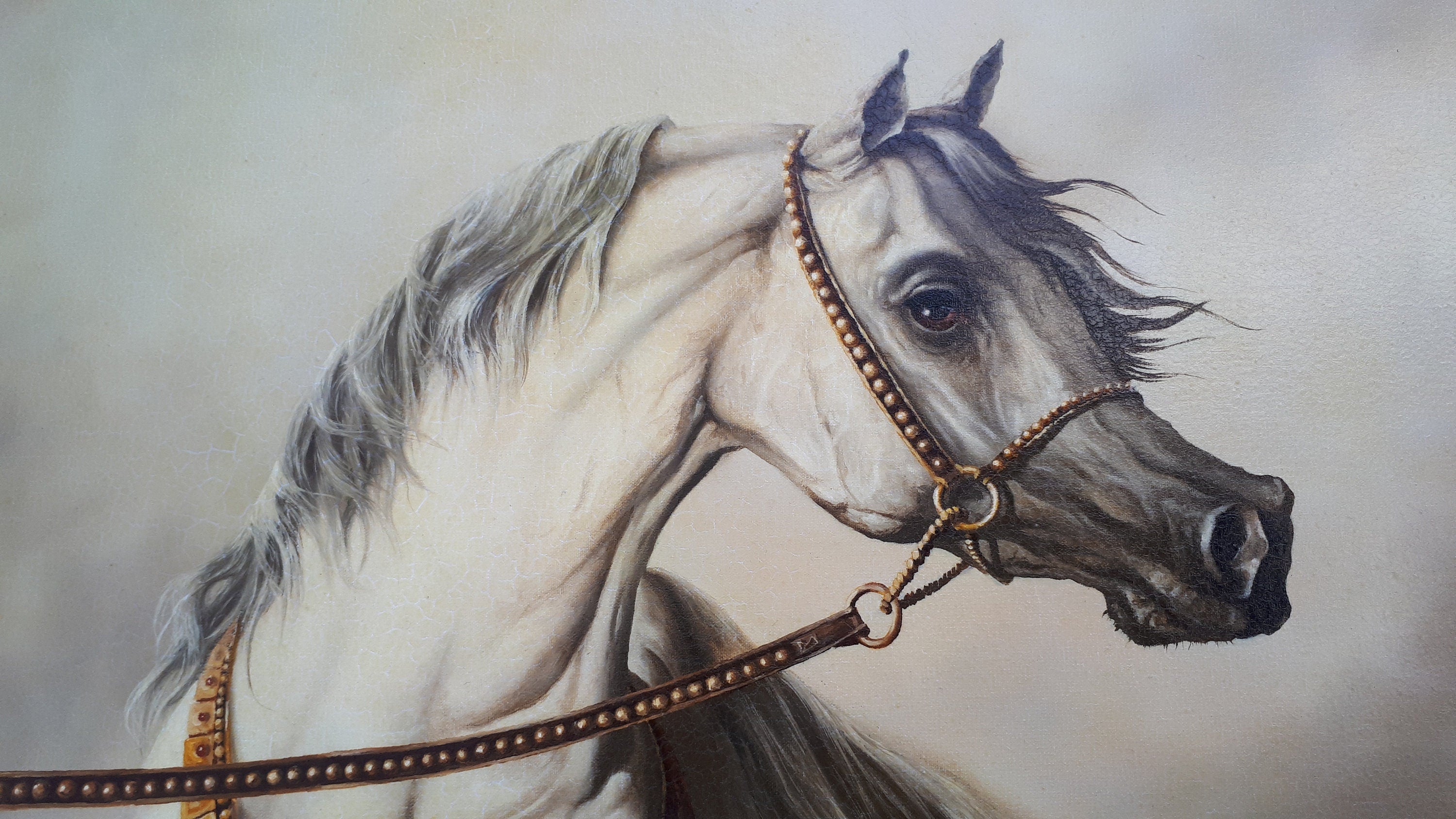 WHITE HORSE | Giclée canvas print from horse original oil painting | Modern home decoration | Equine art | 50x70 cm (19.7"x27.6") Horse Art