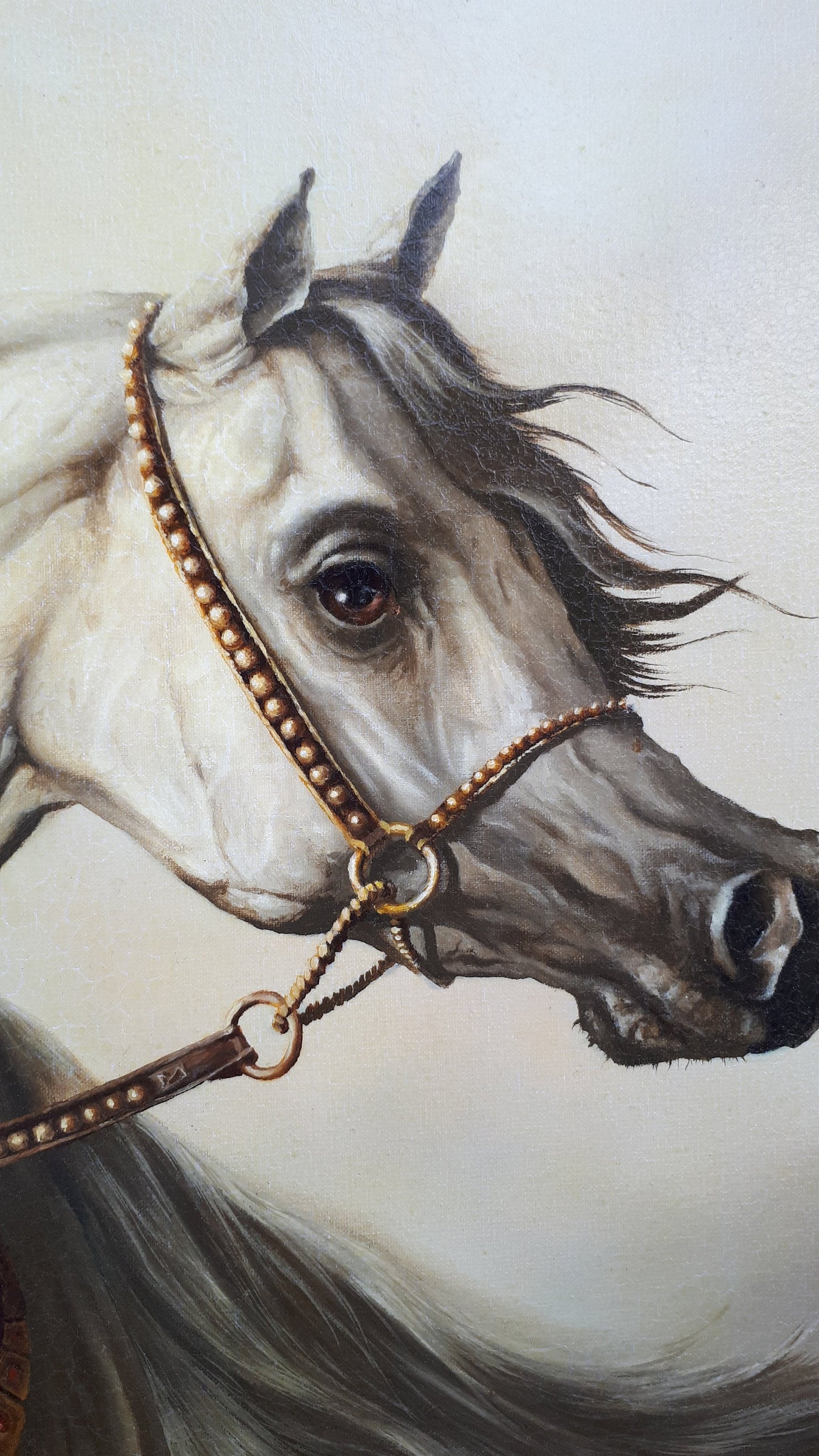 WHITE HORSE | Giclée canvas print from horse original oil painting | Modern home decoration | Equine art | 50x70 cm (19.7"x27.6") Horse Art