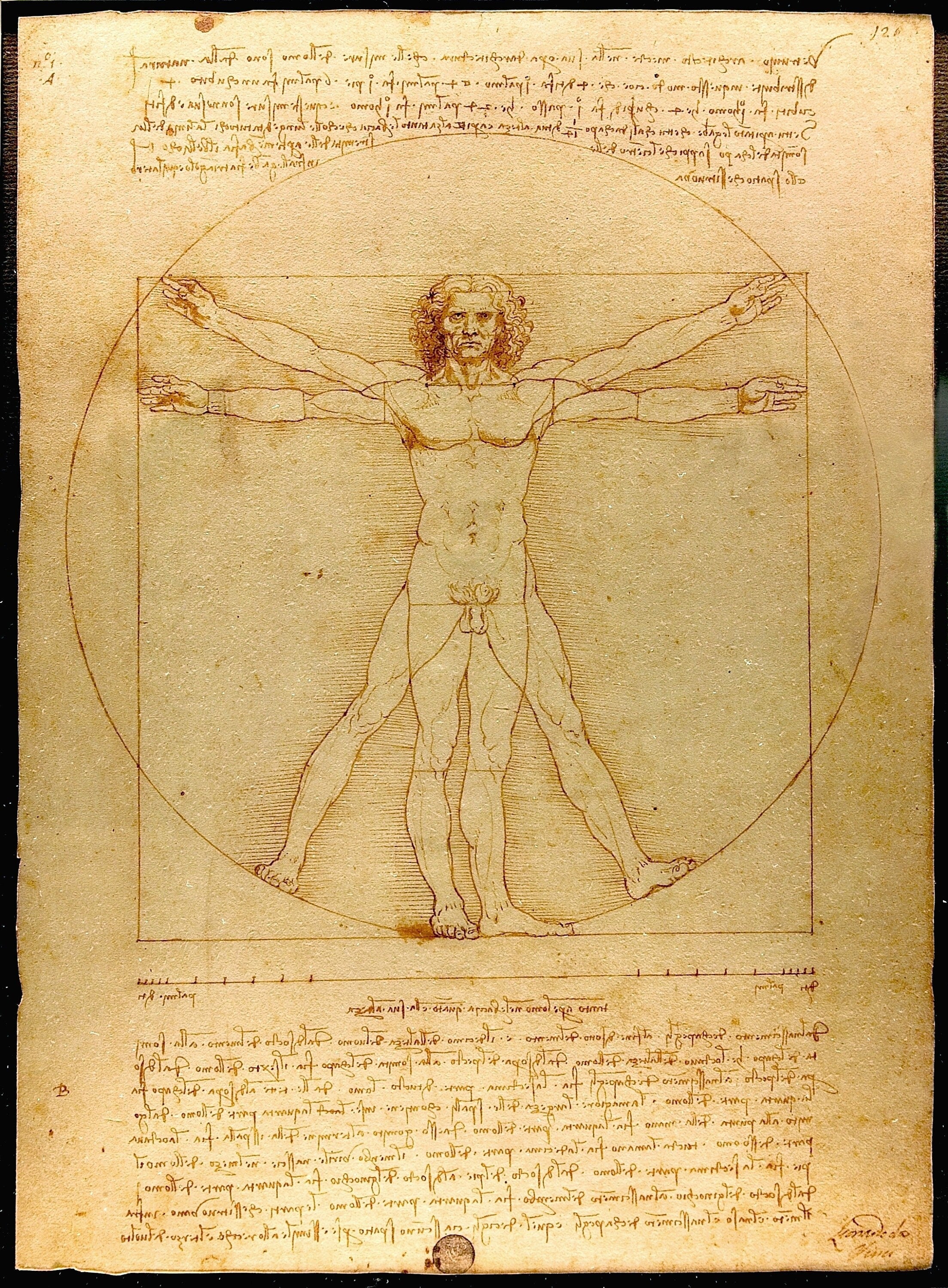 Renaissance Splendor: Vitruvian Man Giclée Print - Da Vinci’s Masterpiece on Heavyweight Premium Art Paper and Canvas