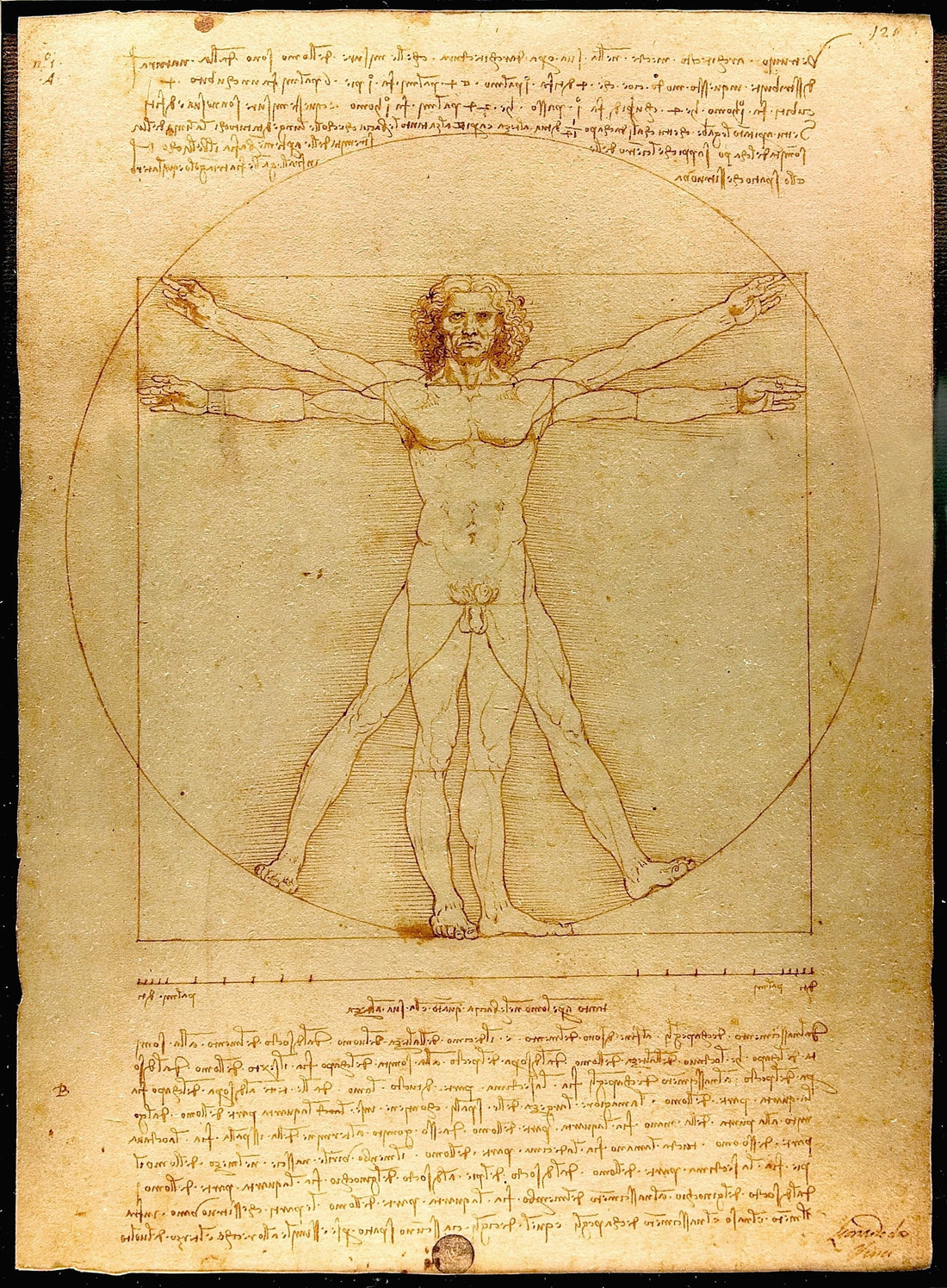 Renaissance Splendor: Vitruvian Man Giclée Print - Da Vinci’s Masterpiece on Heavyweight Premium Art Paper and Canvas