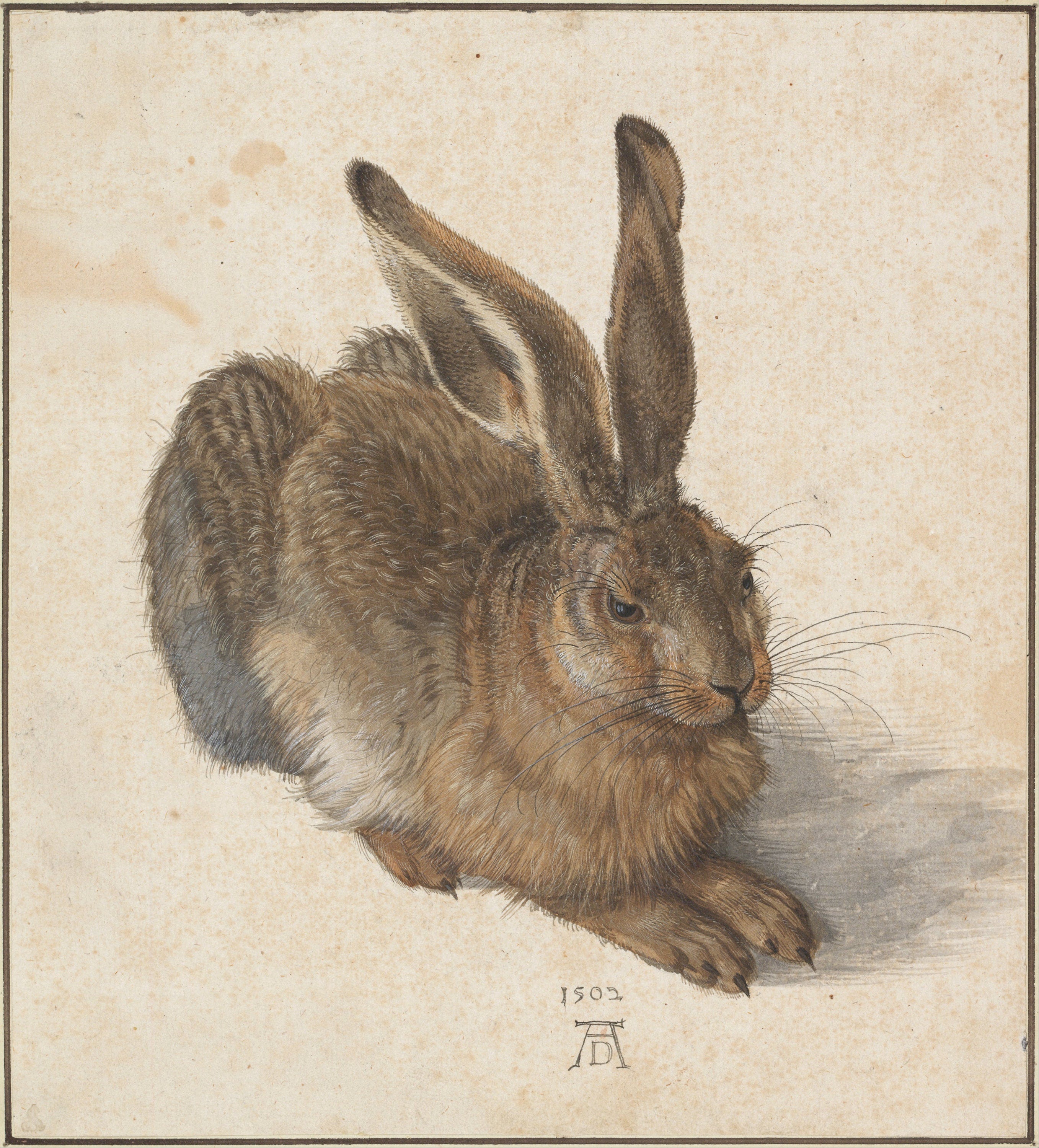 Young Hare by Albrecht Dürer, Museum-Quality Art Print on Canvas and Paper, optional: 3D texture Canvas Art, Museum Print, Poster