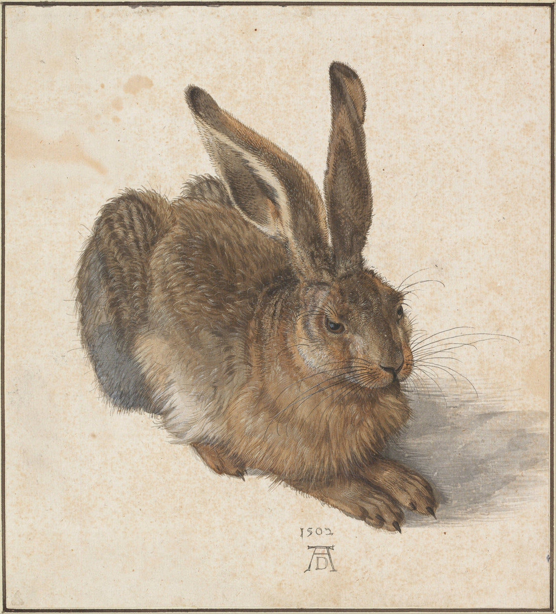 Albrecht Durer Young Hare Print, Museum Quality Canvas Art FOSHE ART