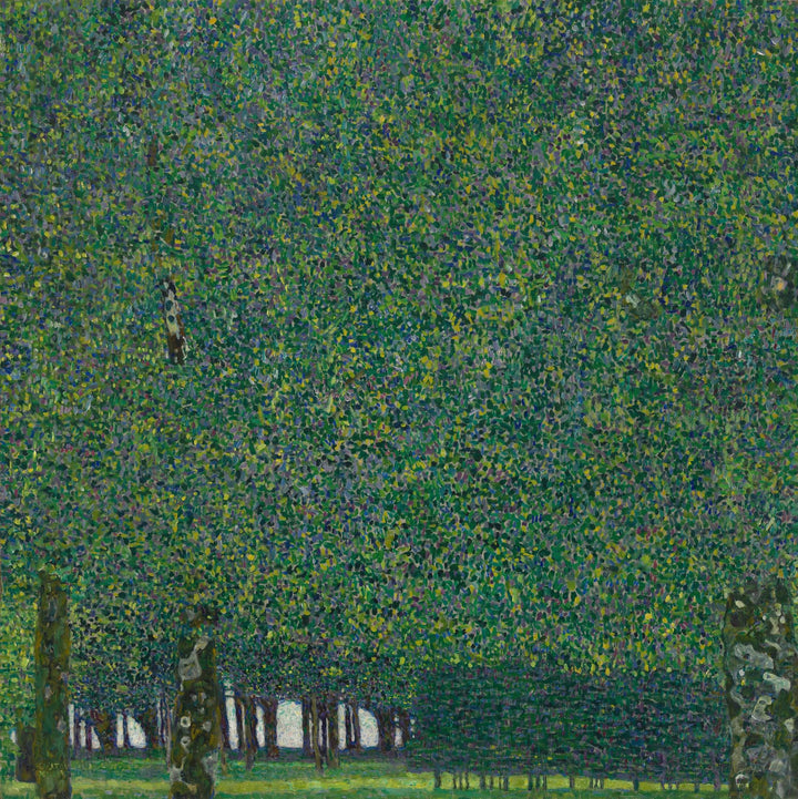 Gustav Klimt "The Park" framed reproduction, Art nouveau 3D Hand-finish canvas with brush strokes, looks like original, Golden Vintage Frame FOSHE ART