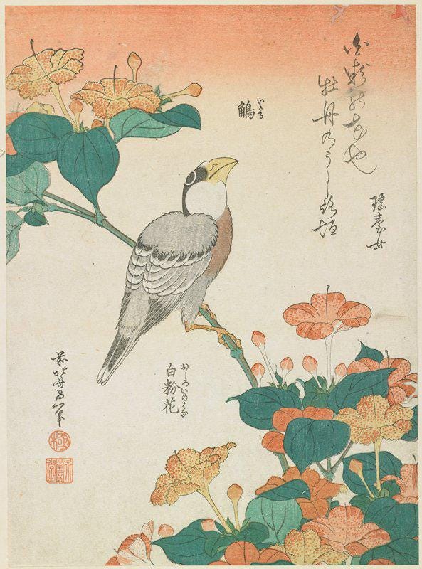 Katsushika Hokusai - Hawfinch and Marvel of Peru | Fine Art Print | Art Paper, Canvas & 3D Hand Finished Premium Texture Print FOSHE ART