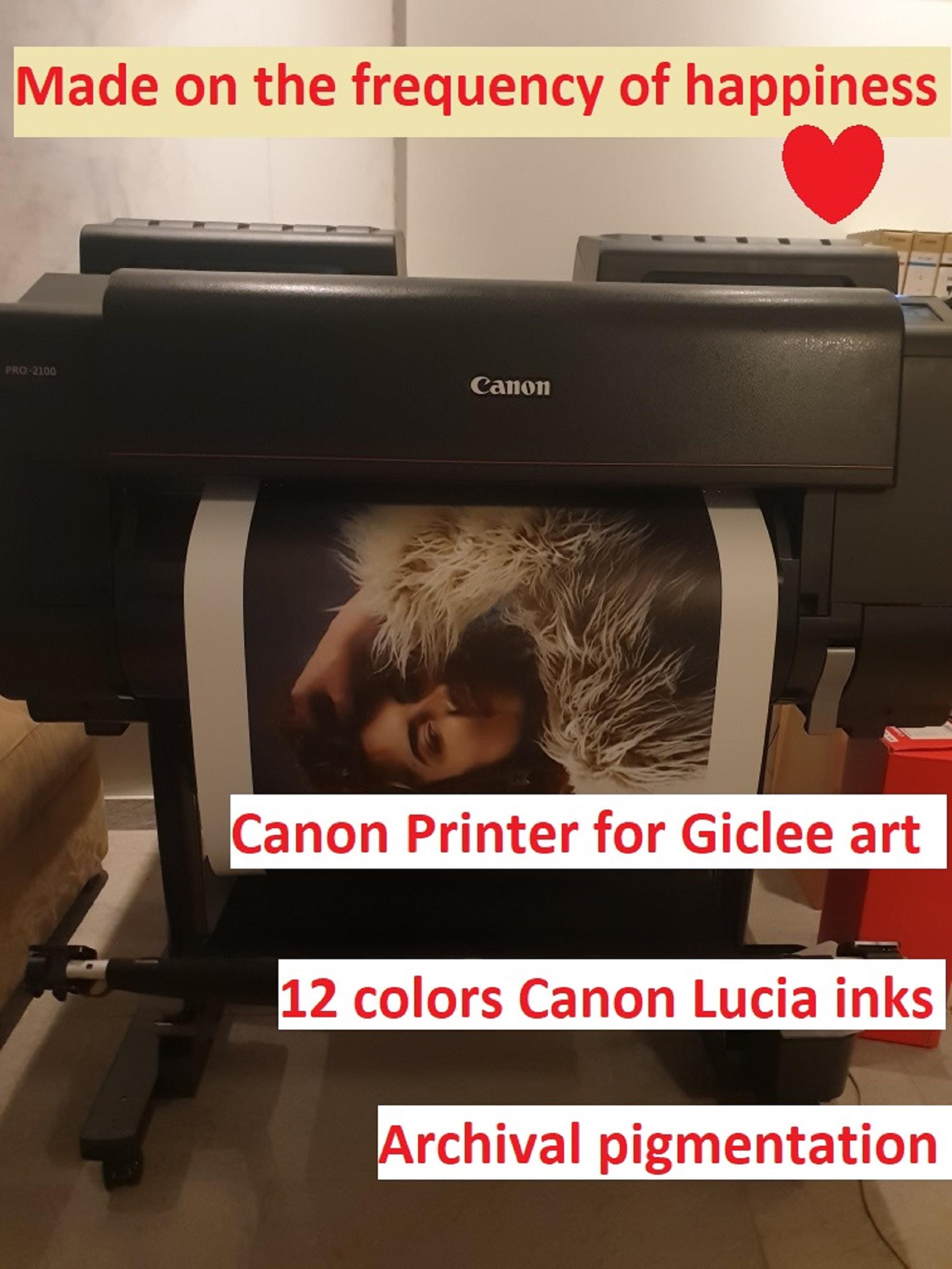 The Orion Nebula, Hubble Print Space Telescope, XXL printing, 3D Finished Premium Texture Print with brush stroke looks like original art