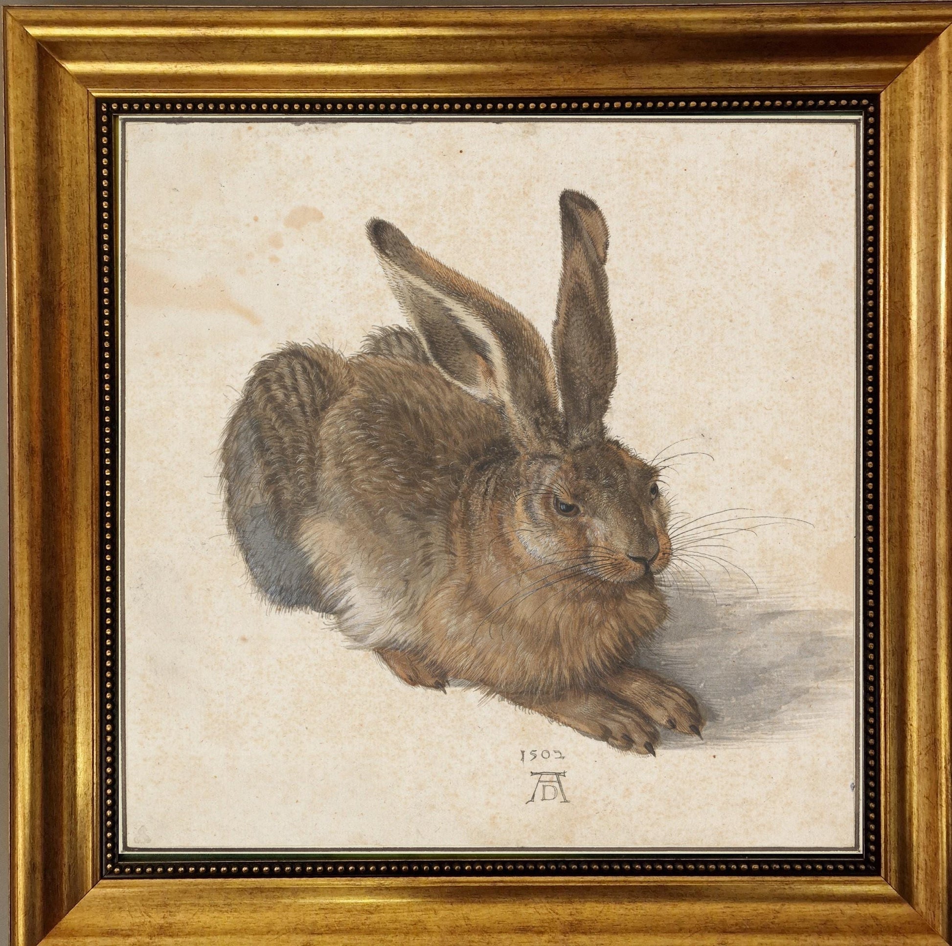 Young Hare by Albrecht Dürer, Gliclée canvas hand finished premium print with brush strokes and golden vintageous frame looks like original FOSHE ART