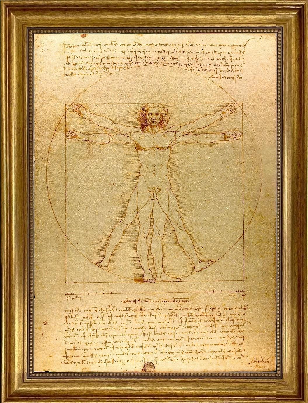 Vitruvian Man Da Vinci’s Masterpiece | Framed Gliclée canvas with hand-applied brush strokes and golden vintage frame | looks like original FOSHE ART