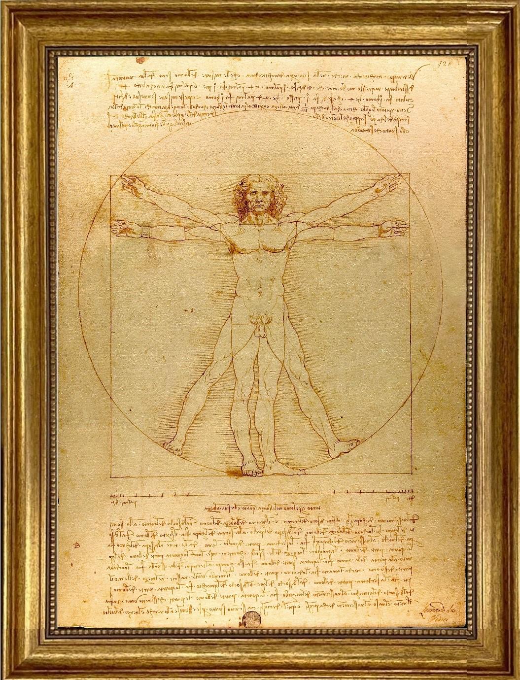 Vitruvian Man Framed Canvas Giclée Print: Da Vinci Masterpiece with Hand-Applied Brush Strokes FOSHE ART
