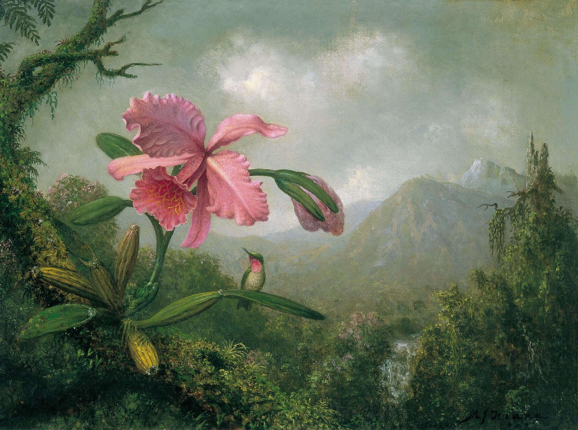 Orchid and Hummingbird Canvas Print with Vintage Golden Frame, Martin Johnson Heade Masterpiece FOSHE ART