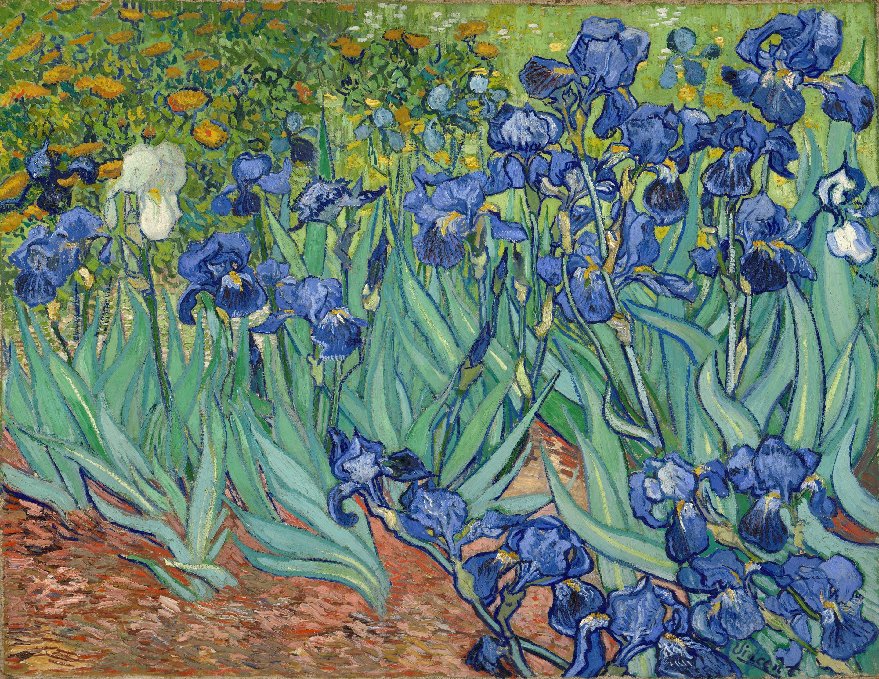 Van Gogh Irises Art Print on canvas with Vintage Golden Frame and Brush Strokes FOSHE ART