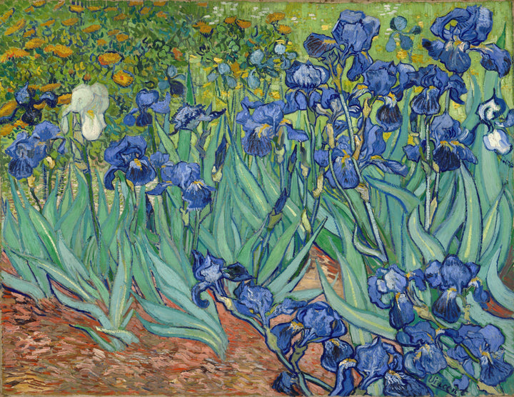 Van Gogh Irises Art Print on canvas with Vintage Golden Frame and Brush Strokes FOSHE ART
