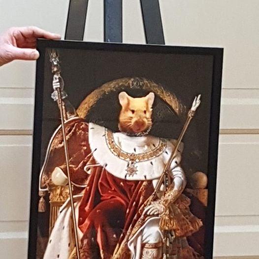 PET PORTRAIT Foshe Print ART