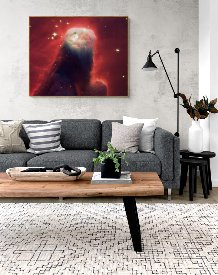 Cone Nebula(NGC 2264) Foshe ART